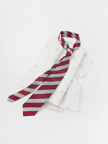 Striped Silk Tie