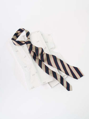 Striped Silk Tie